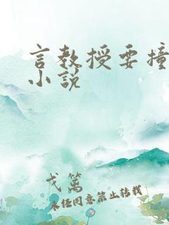 言教授要撞坏了小说