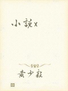 小说x