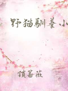 野猫驯养小说