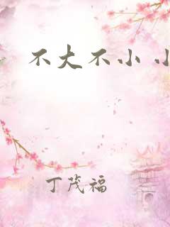 不大不小 小说