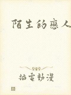 陌生的恋人小说