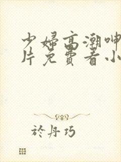 少妇高潮呻吟A片免费看小说