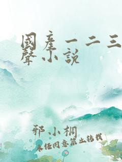 国产一二三区有声小说