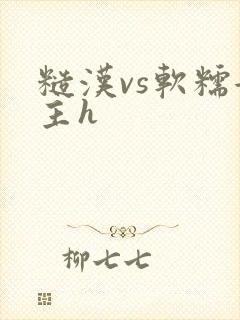 糙汉vs软糯女主h