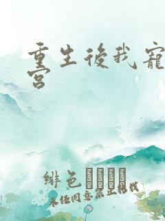 重生后我宠冠东宫