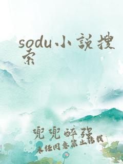 sodu小说搜索