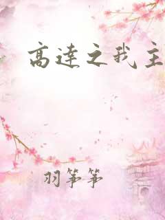 高达之我主沉浮