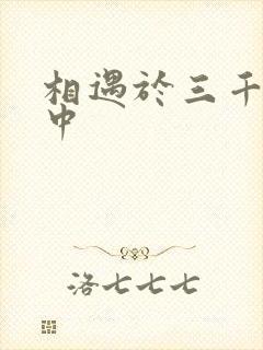 相遇于三千肉文中