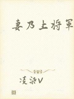 妻乃上将军下载