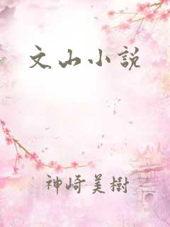 文山小说