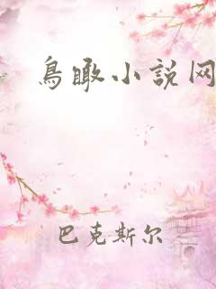 鸟瞰小说网