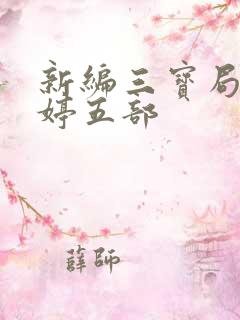 新编三宝局长许婷五部