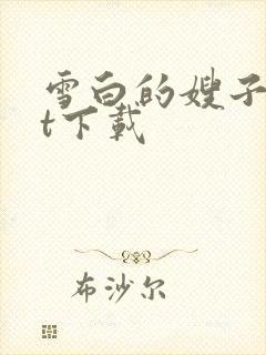 雪白的嫂子txt下载