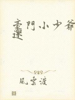 豪门小少爷是财迷