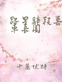 路星辞段嘉衍肉车长图