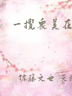 一揽众美在三国