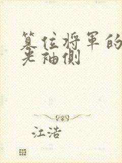 篡位将军的白月光袖侧