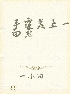 手覆盖上一对大白兔