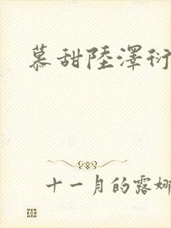 慕甜陆泽衍小说