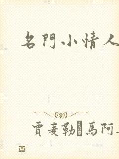 名门小情人