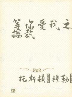 等你爱我之冰山总裁