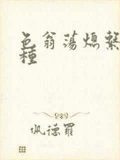 色翁荡熄系列借种