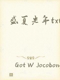 盛夏光年txt