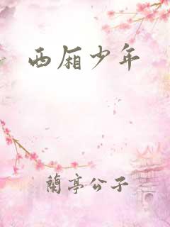 西厢少年
