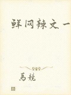 鲜网辣文一对一