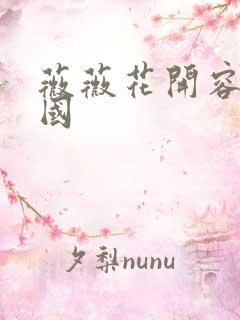 薇薇花开容颜倾国