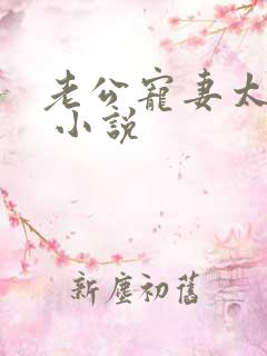 老公宠妻太甜蜜 小说