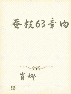 蚕枝63章肉