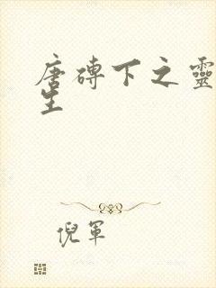 唐砖下之灵域双生