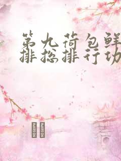 第九荷包鲜辣肉排总排行功能介绍