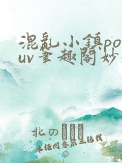 混乱小镇popuv笔趣阁妙妙