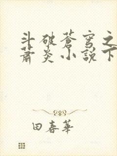 斗破苍穹之重生萧炎小说下载