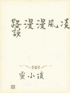 路漫漫风凌轩小说