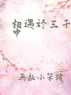 相遇于三千肉文中