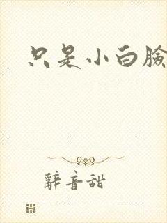 只是小白脸