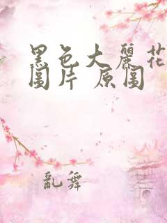 黑色大丽花真实图片 原图