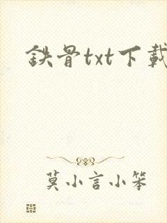 铁骨txt下载