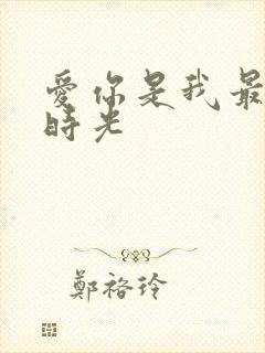 爱你是我最好的时光