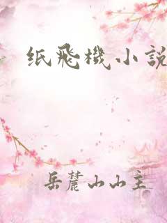 纸飞机小说