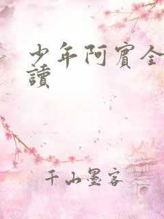 少年阿宾全本阅读