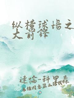 纵横球场之暴力大前锋