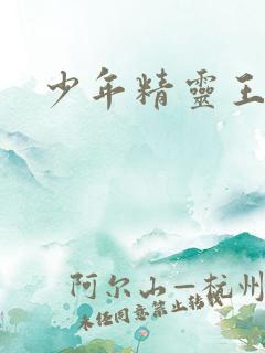 少年精灵王