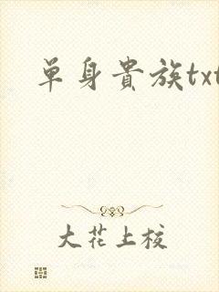 单身贵族txt