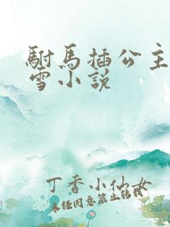 驸马插公主恋战雪小说
