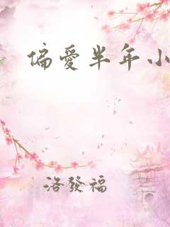 偏爱半年小说