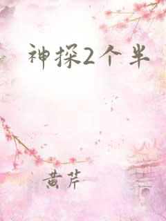 神探2个半